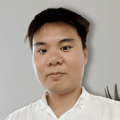 Viet Tran - Integration Developer